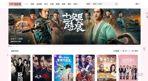 8大超牛的精品影視網(wǎng)站 免費資源與低調(diào)使用的全面指南，附帶電影攝制服務推薦